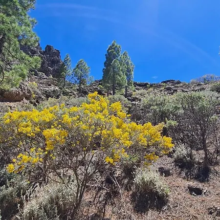 Puerto Rico Teide And Amadores View 아파트